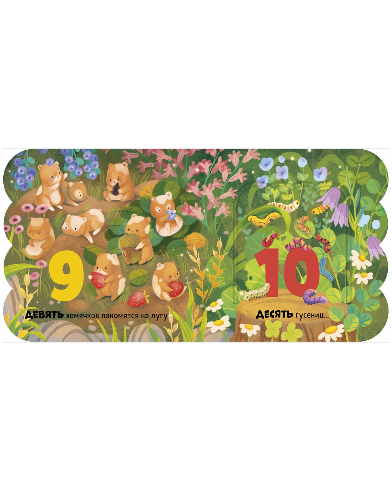 Книжка с окошками. Первый счёт