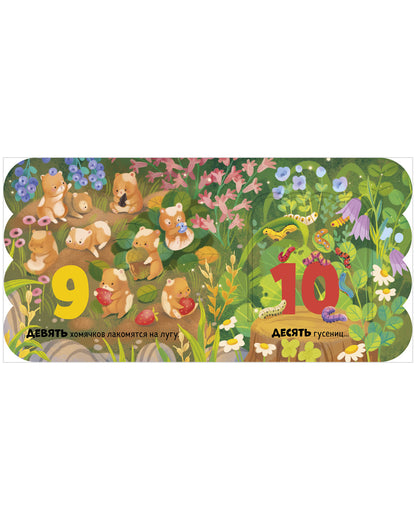 Книжка с окошками. Первый счёт