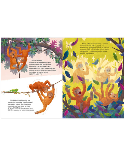 Удивительные животные. Малыш орангутанг. Приключения в тропиках