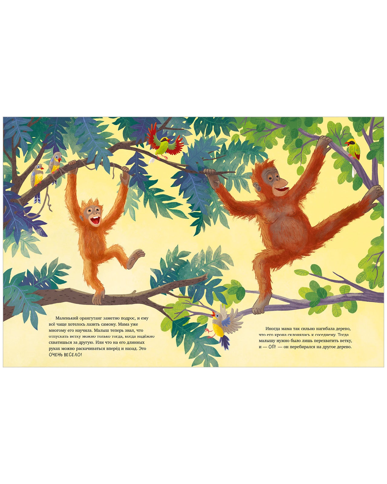 Удивительные животные. Малыш орангутанг. Приключения в тропиках