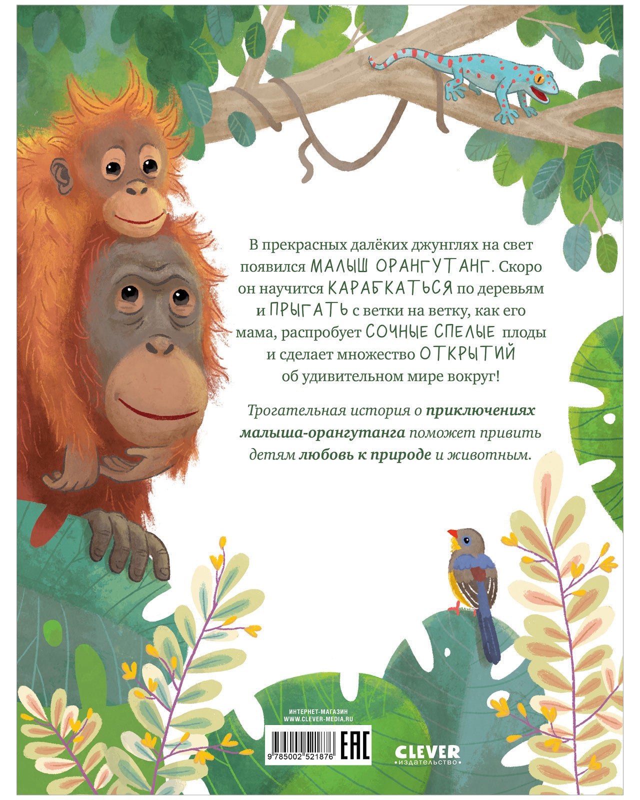 Удивительные животные. Малыш орангутанг. Приключения в тропиках