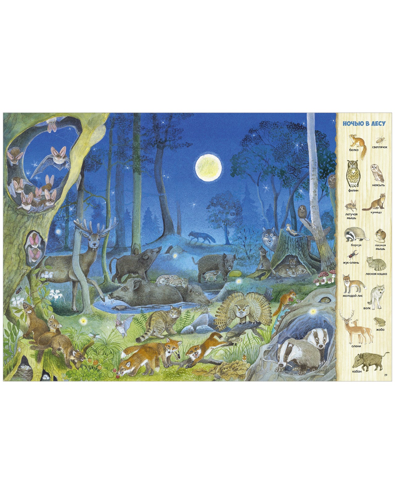 Найди и покажи. 1000 животных