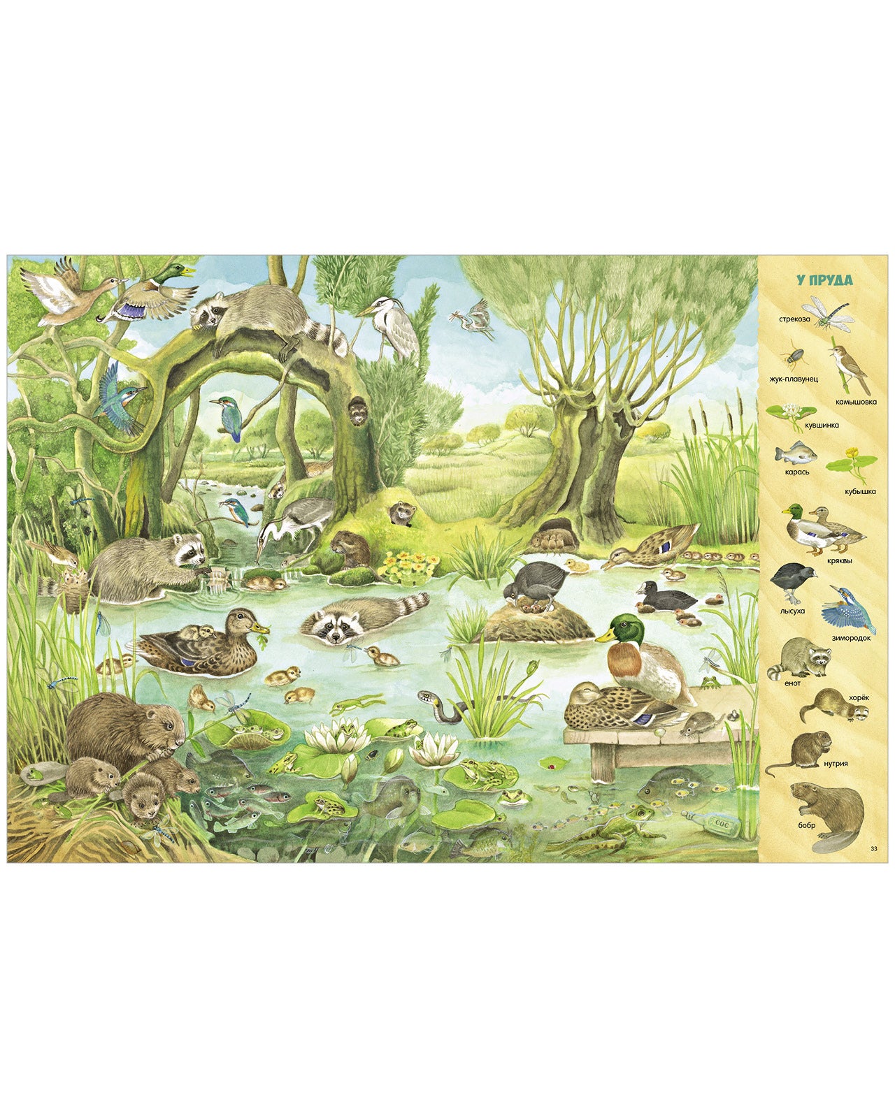 Найди и покажи. 1000 животных