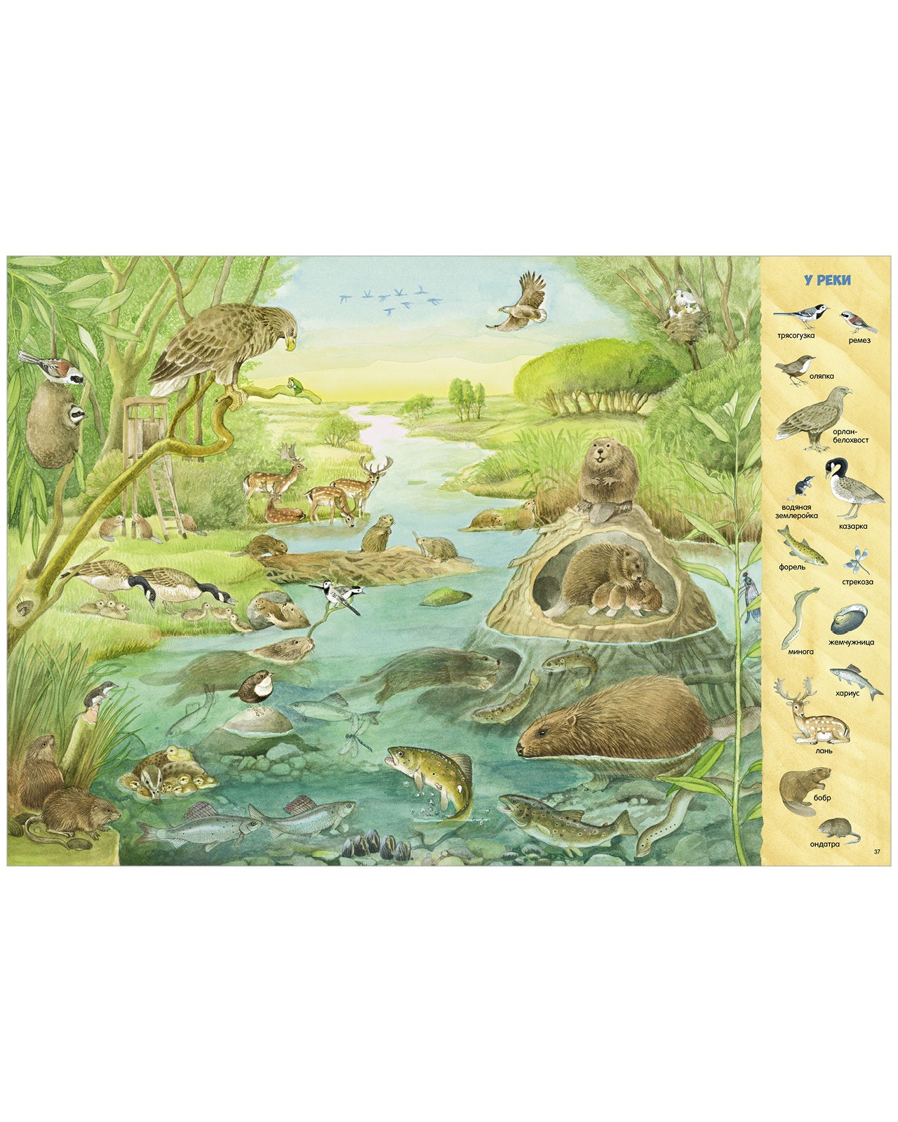 Найди и покажи. 1000 животных