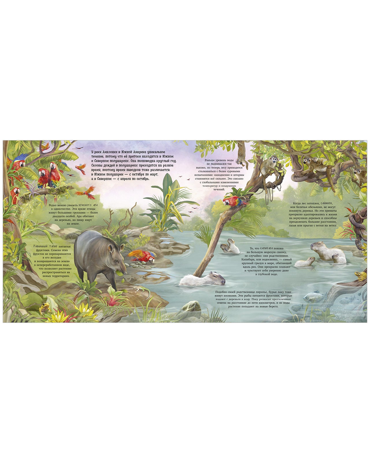 Удивительные животные. Что скрывает природа?