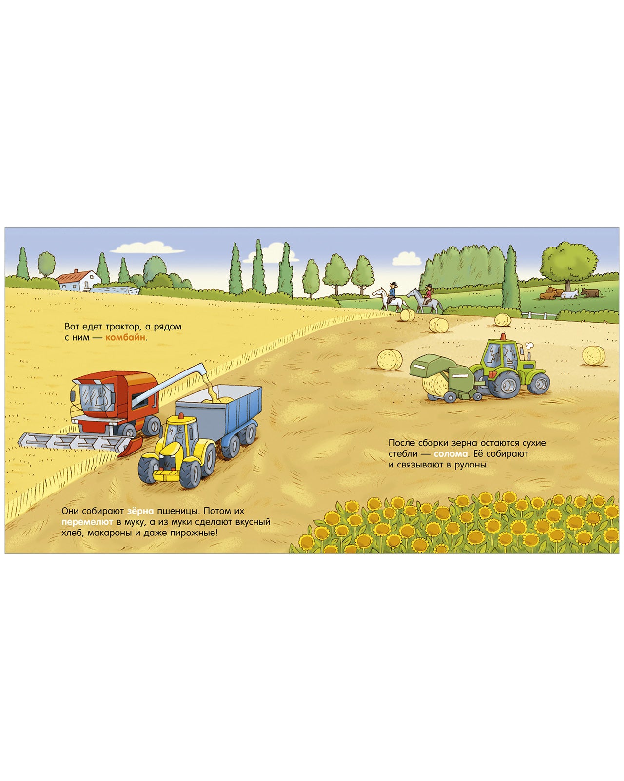 Как устроен мир? Ферма