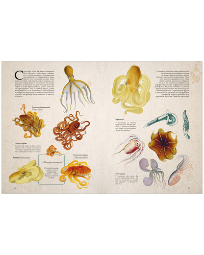 Удивительные энциклопедии. Морские сокровища