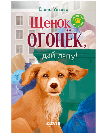 Пушистые истории. Щенок Огонек, дай лапу!