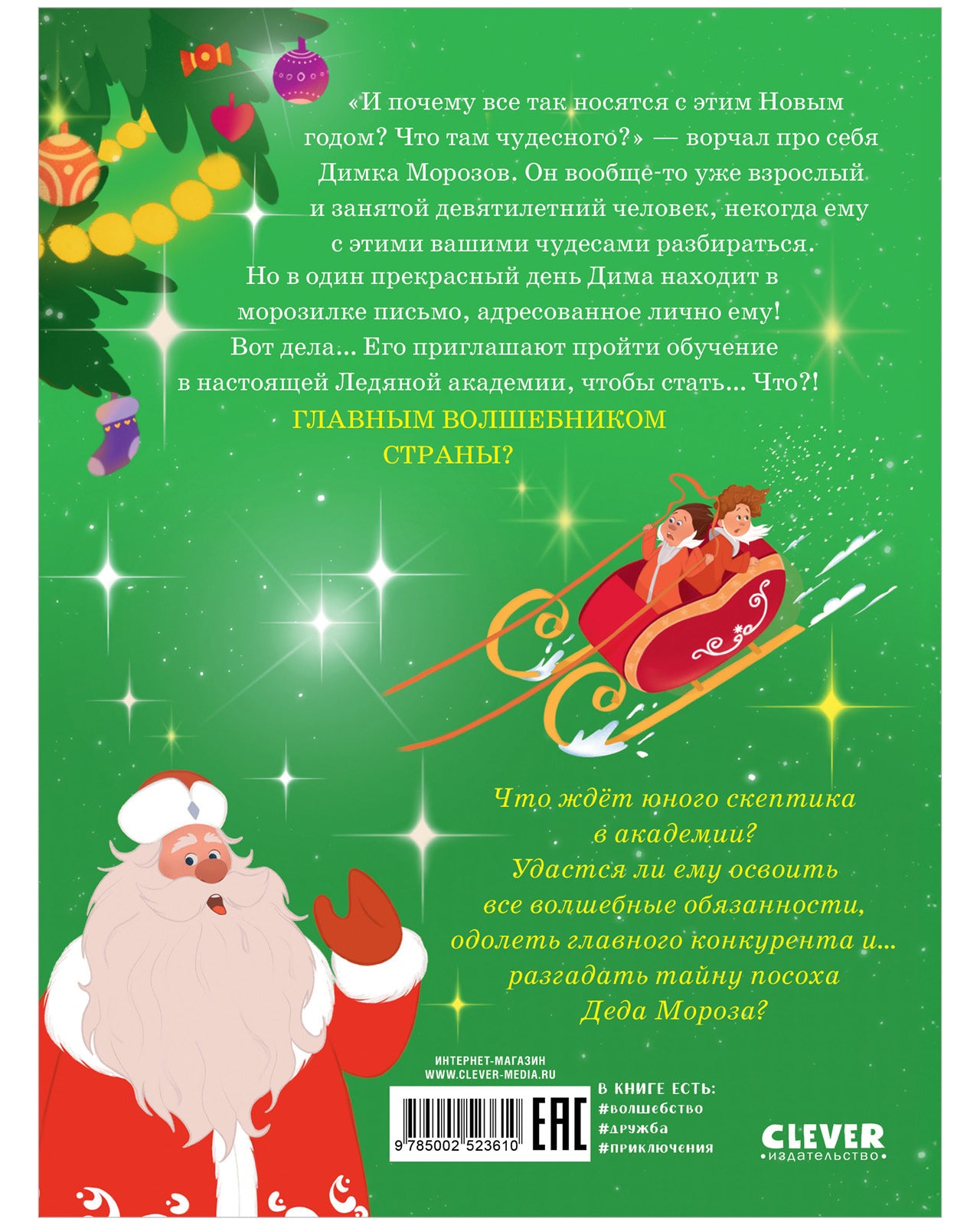 Приключения в Ледяной академии. Тайна волшебного посоха