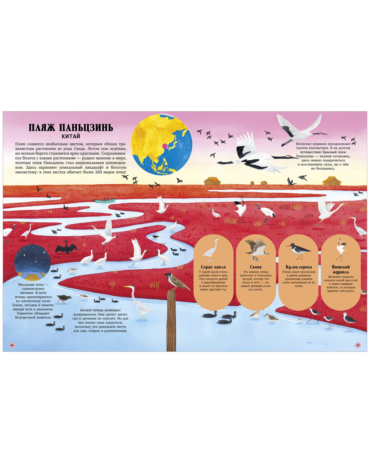 Большая энциклопедия CLEVER. Удивительные животные и где они обитают