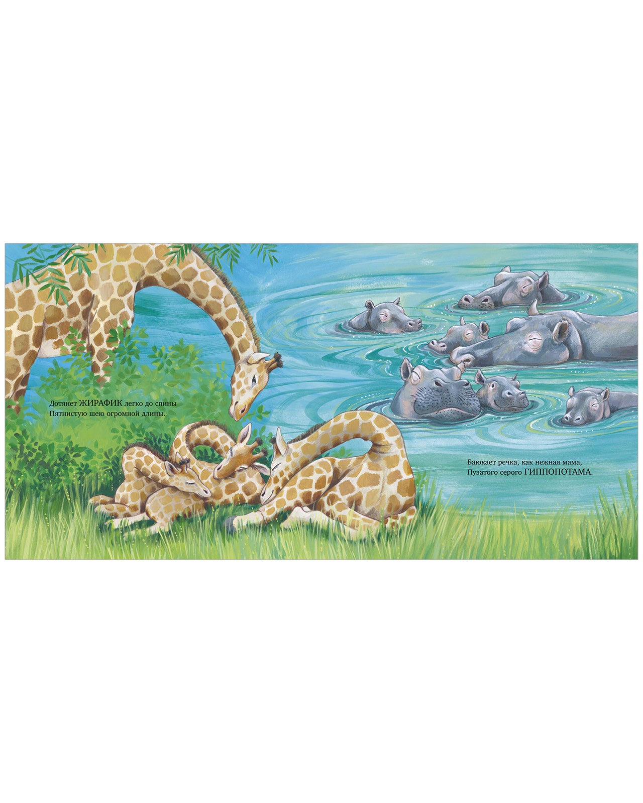 Книжки-картинки. Сладких снов, мой малыш!