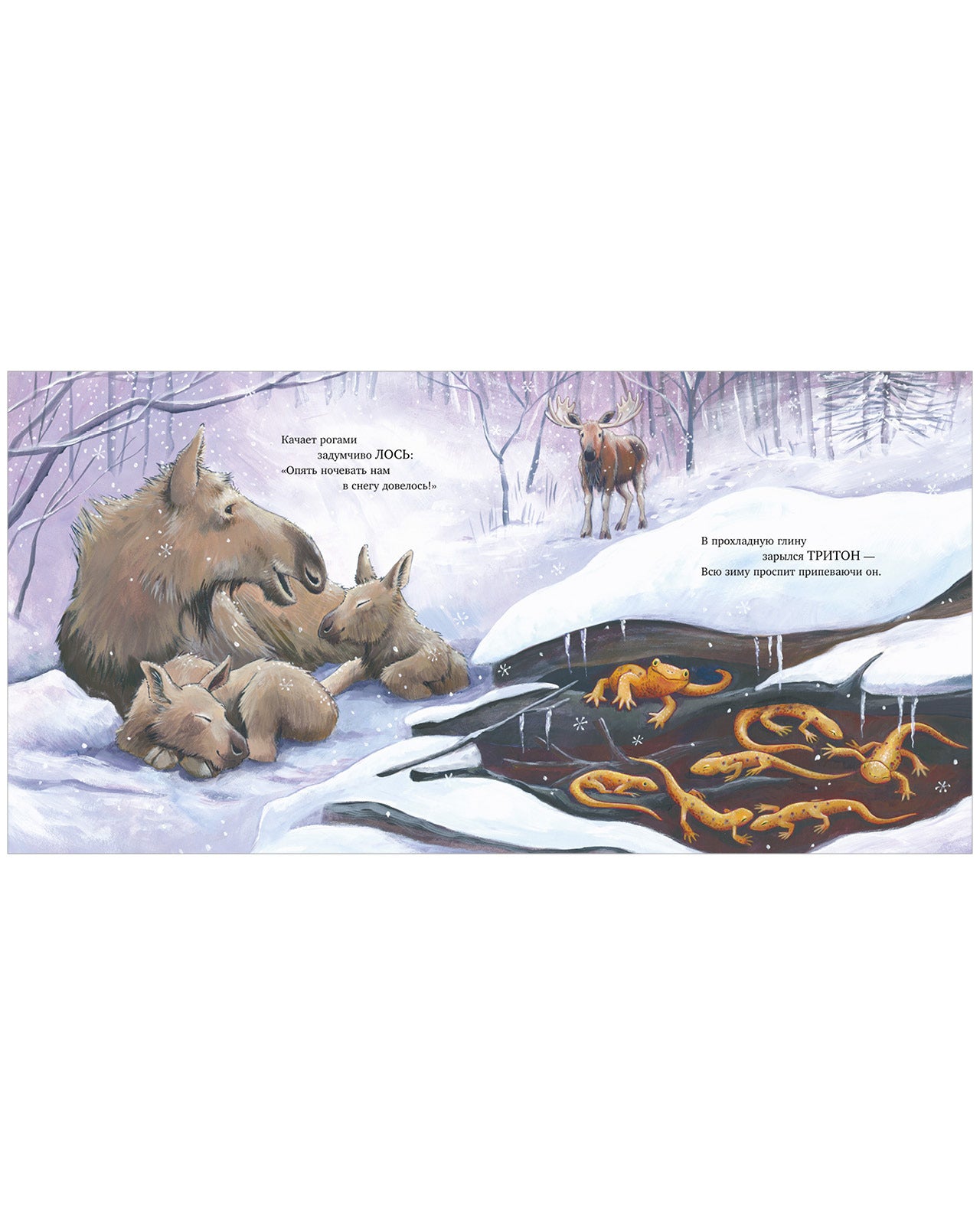 Книжки-картинки. Сладких снов, мой малыш!