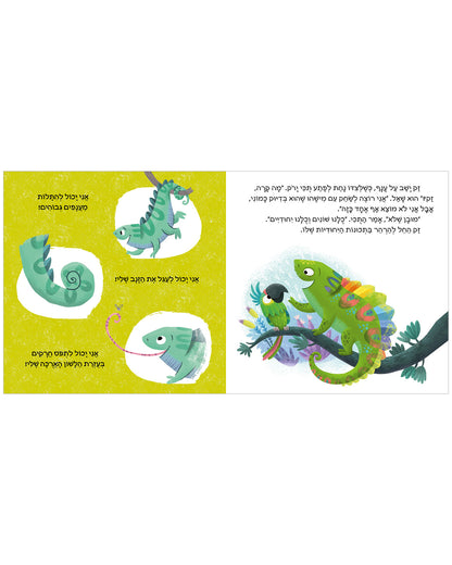 קשת של רגשות