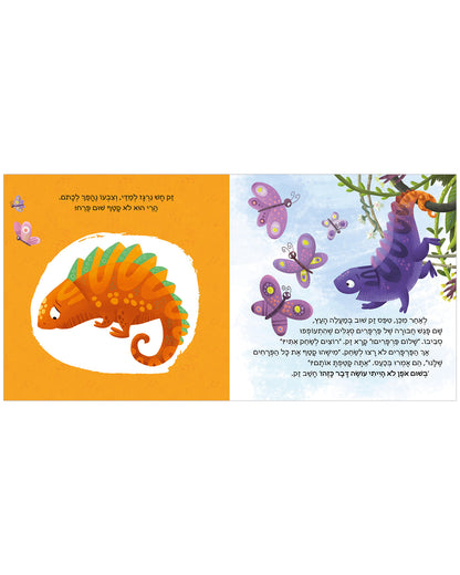 קשת של רגשות