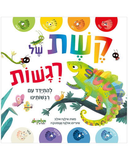 קשת של רגשות