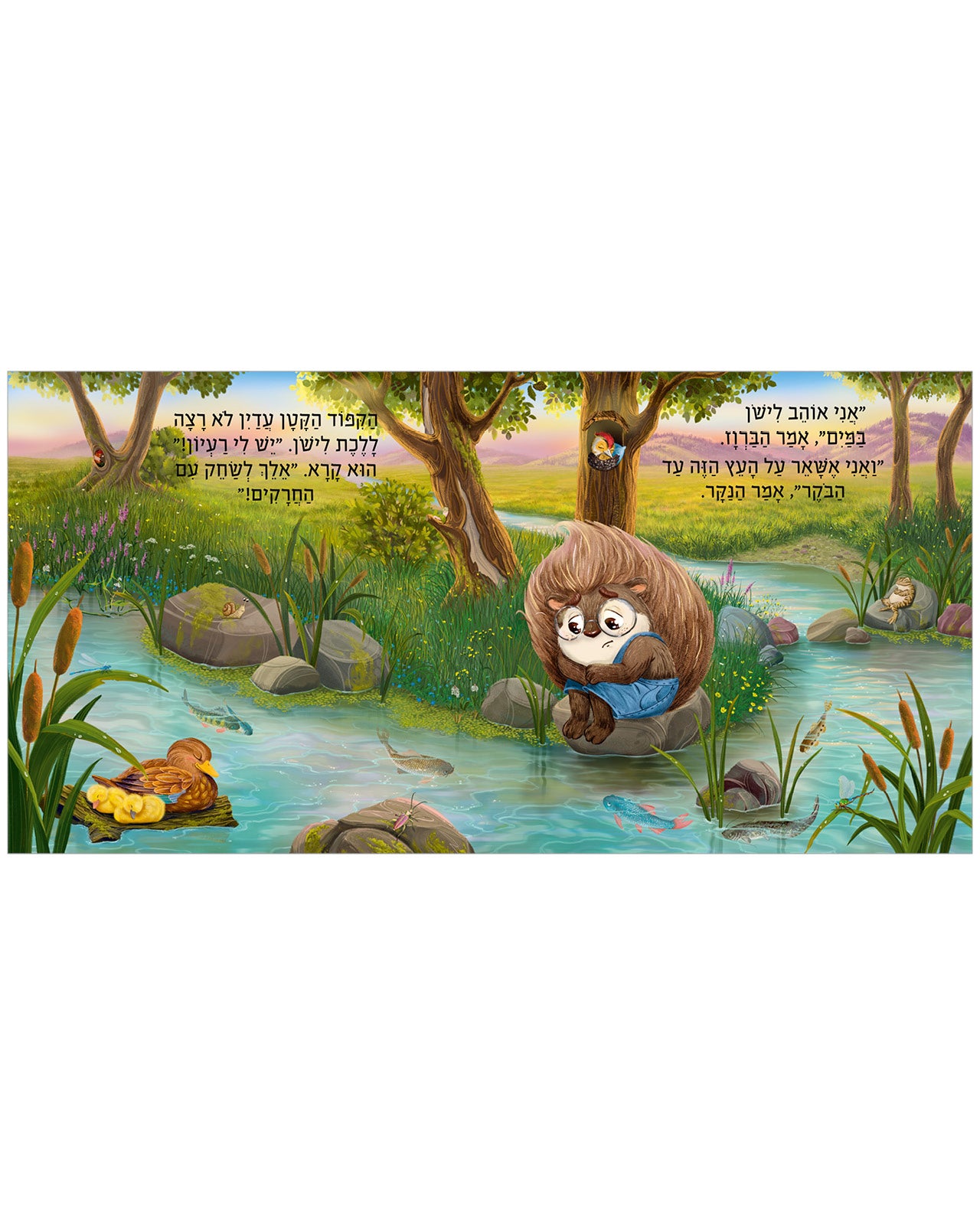 חלומות מתוקים, קיפוד קטן