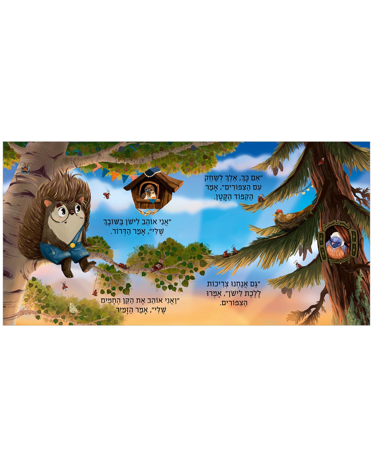 חלומות מתוקים, קיפוד קטן