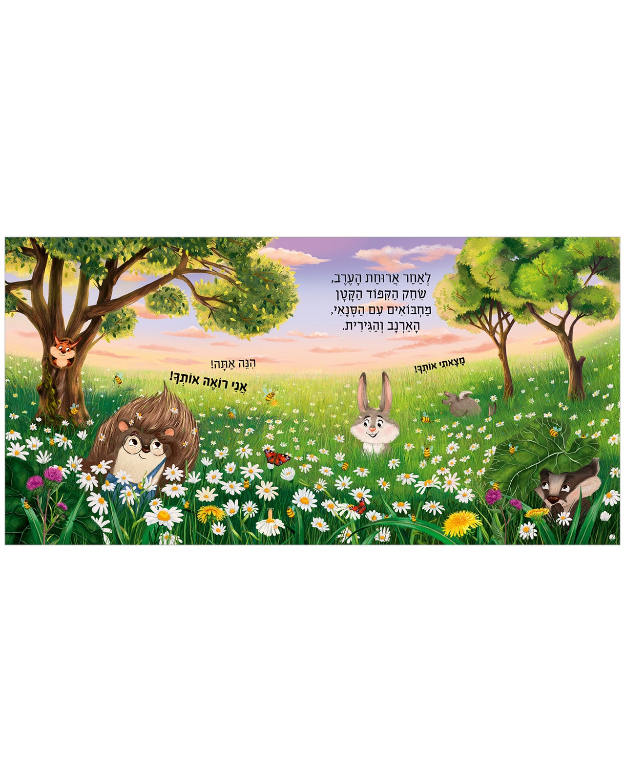 חלומות מתוקים, קיפוד קטן