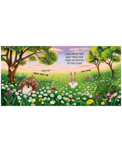 חלומות מתוקים, קיפוד קטן