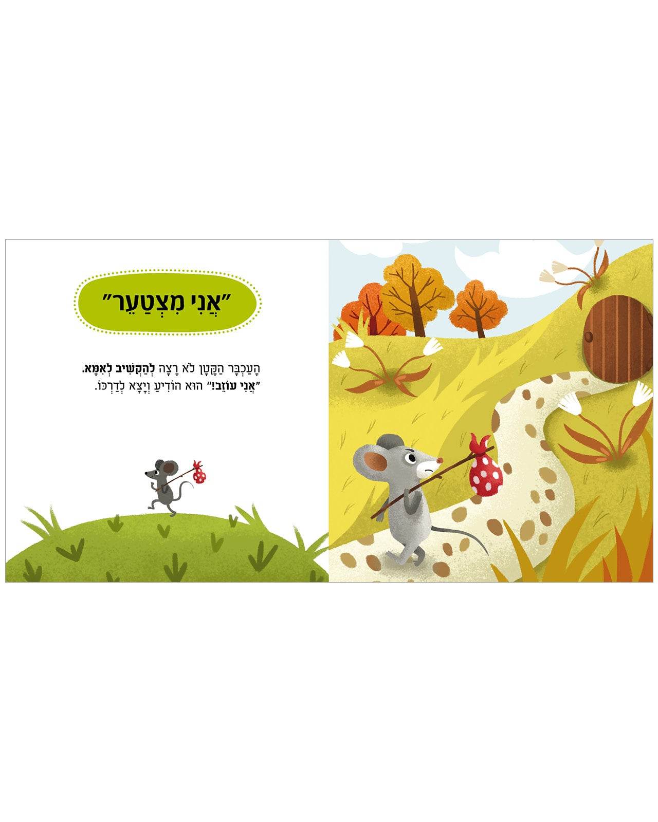  - כריכה קשה - Сlever-publishing