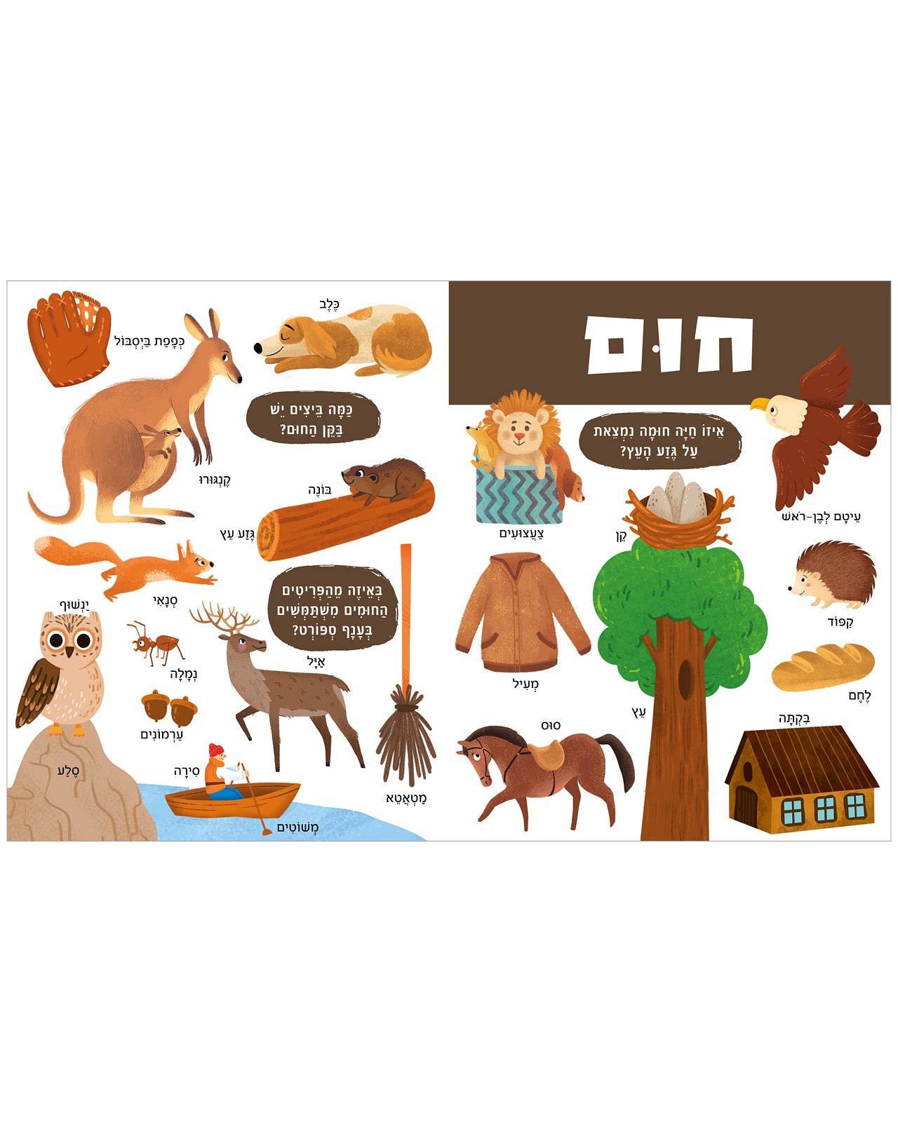 ספר הצבעים הגדול