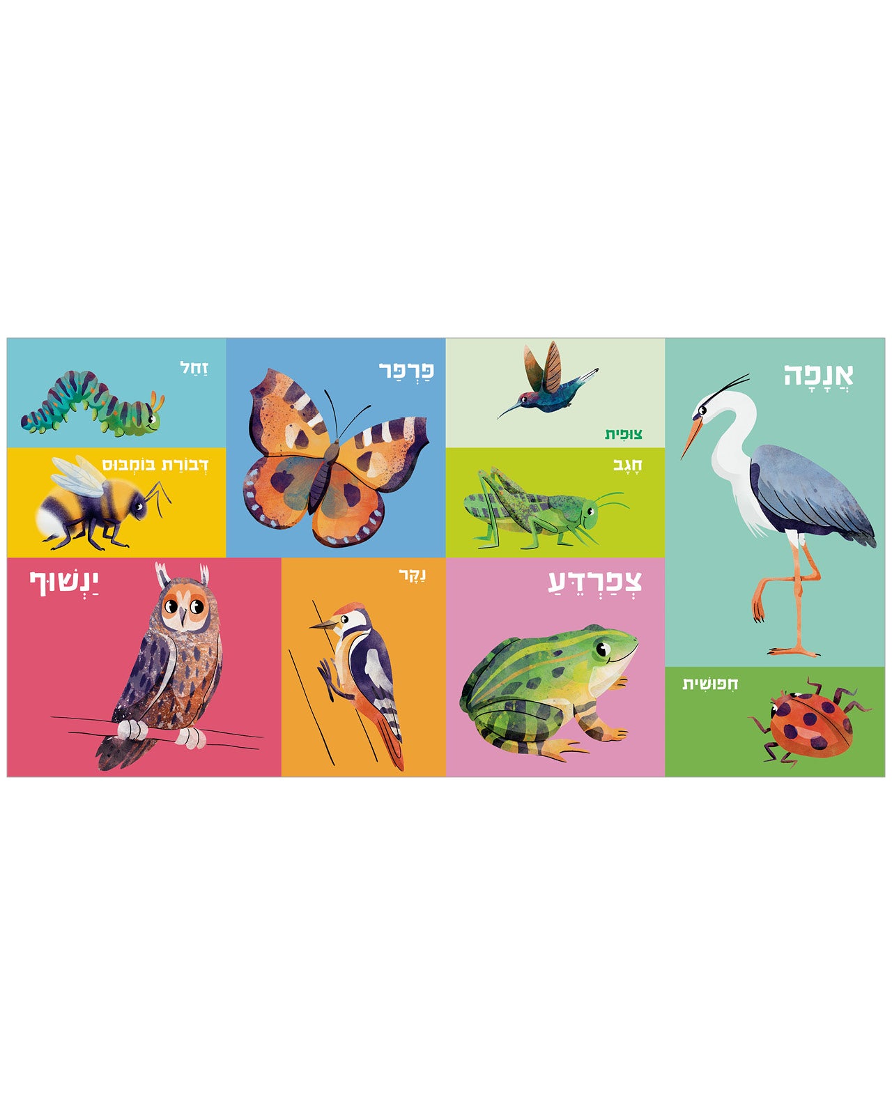 100 חיות ראשונות