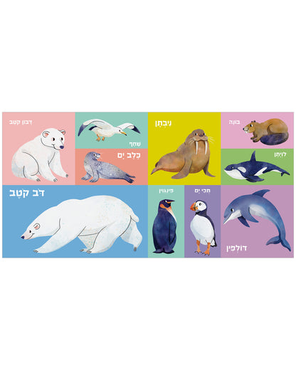 100 חיות ראשונות