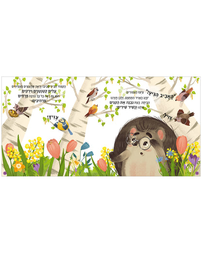 האביב הגיע, קיפוד קטן