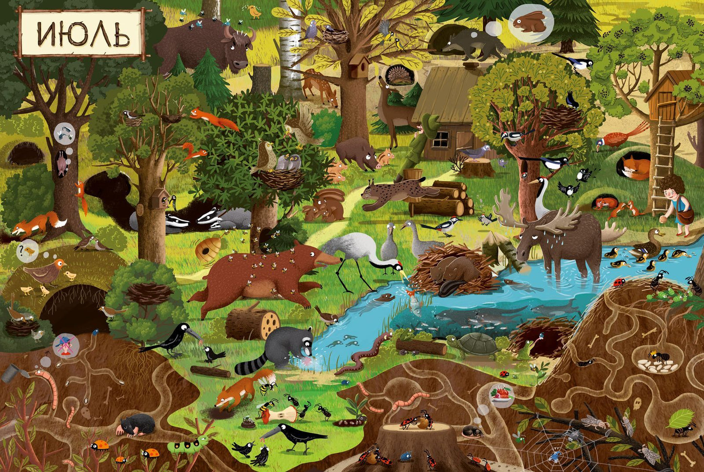 Год в лесу. Найди и покажи