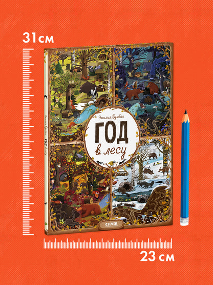 Год в лесу. Найди и покажи