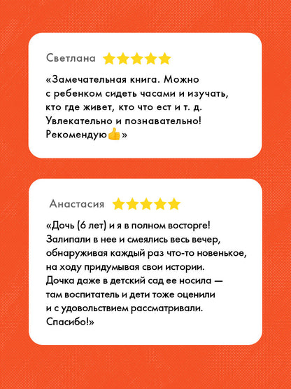 Год в лесу. Найди и покажи