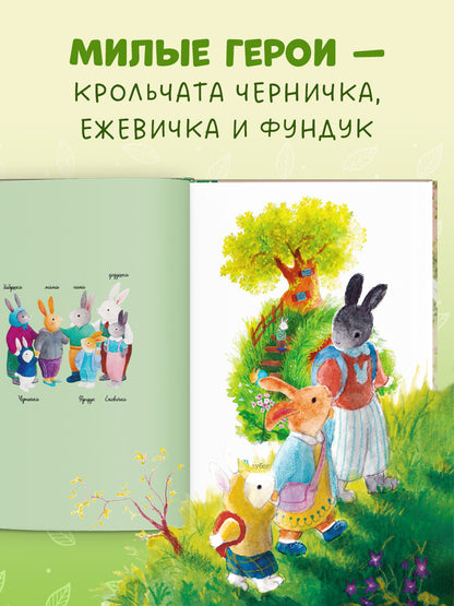 Сказки старого леса. Прогулка по лесу