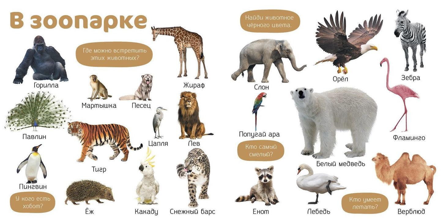 Познаем мир вместе. Мои первые фотокниги. Изучаем мир