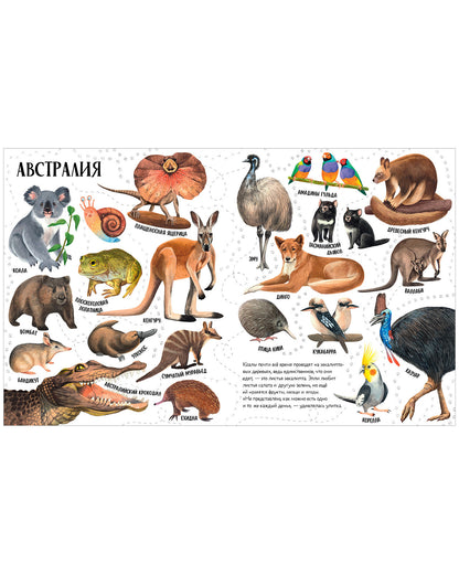 Первые книжки малыша. Приключения улитки Элли в мире животных