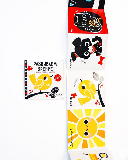Контрастная книжка-раскладушка. Развиваем зрение. Учим первые слова