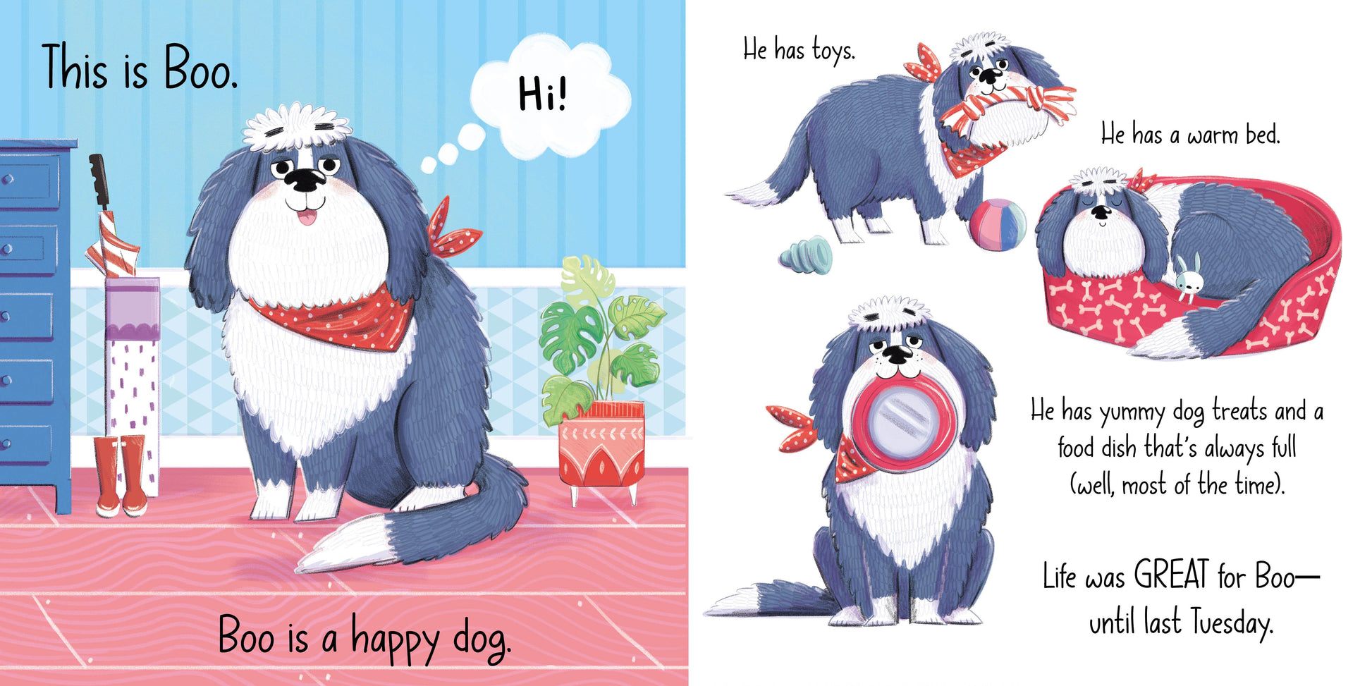 Boo and the New Puppy - Твердая обложка - Сlever-publishing 40.00