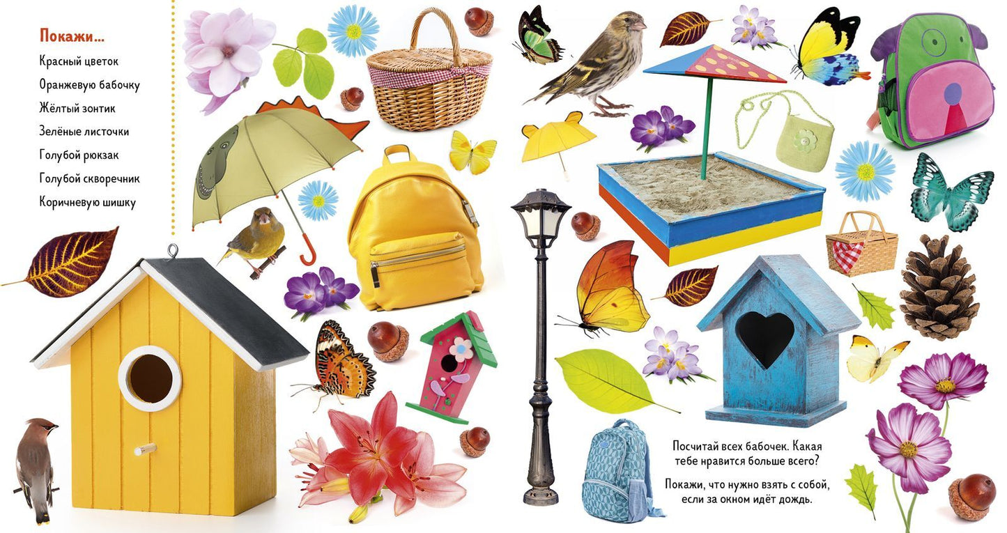 Найди и покажи. Фотокниги. Времена года