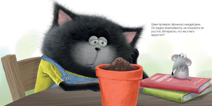 Котенок Шмяк и загадочное зернышко