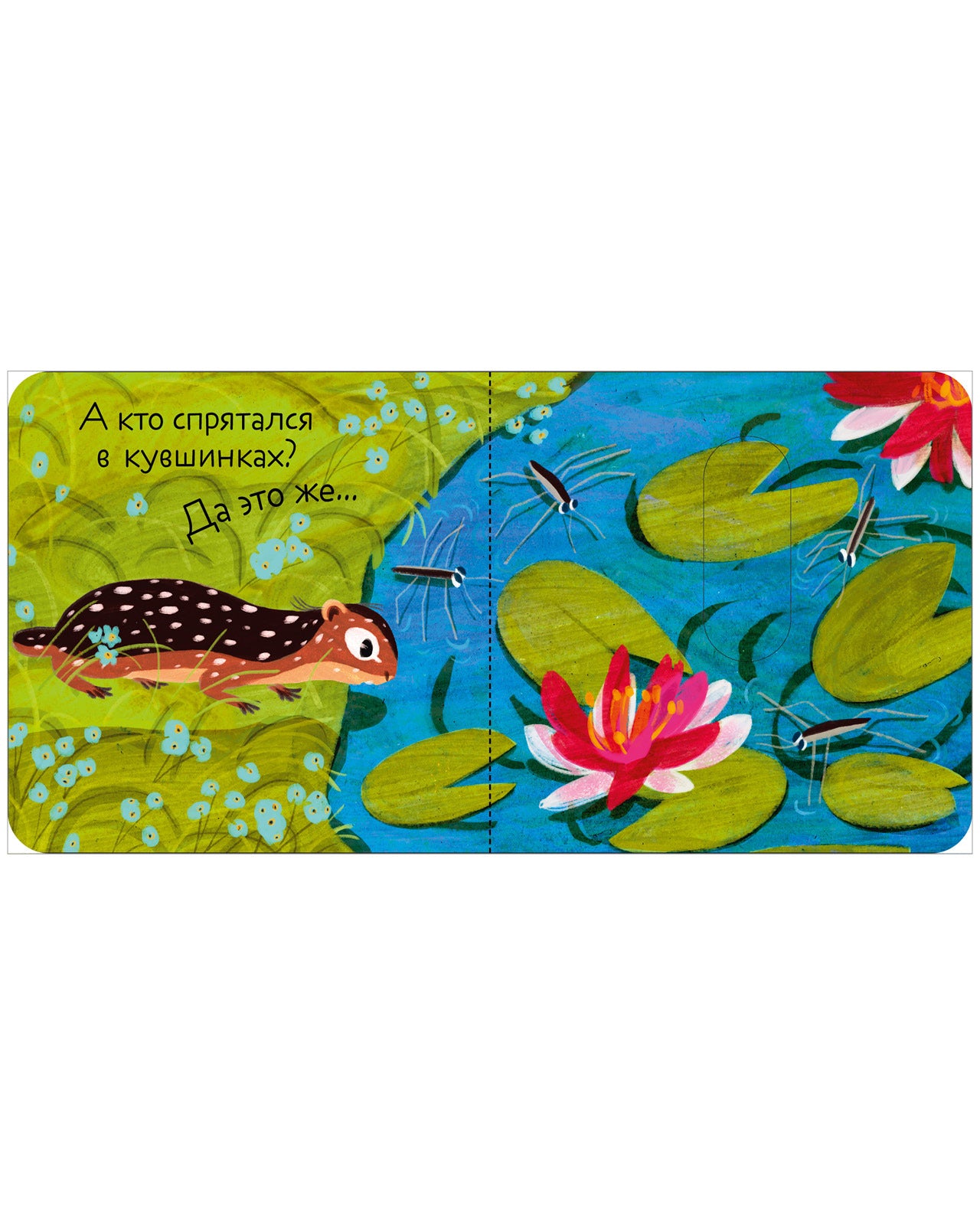 Вжух! Кто где живет?