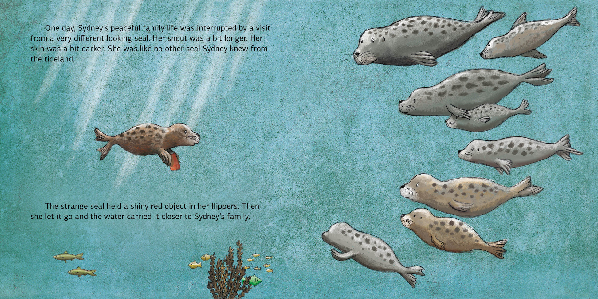 Sydney the Seal Saves the Sea - Твердая обложка - Сlever-publishing 49.00