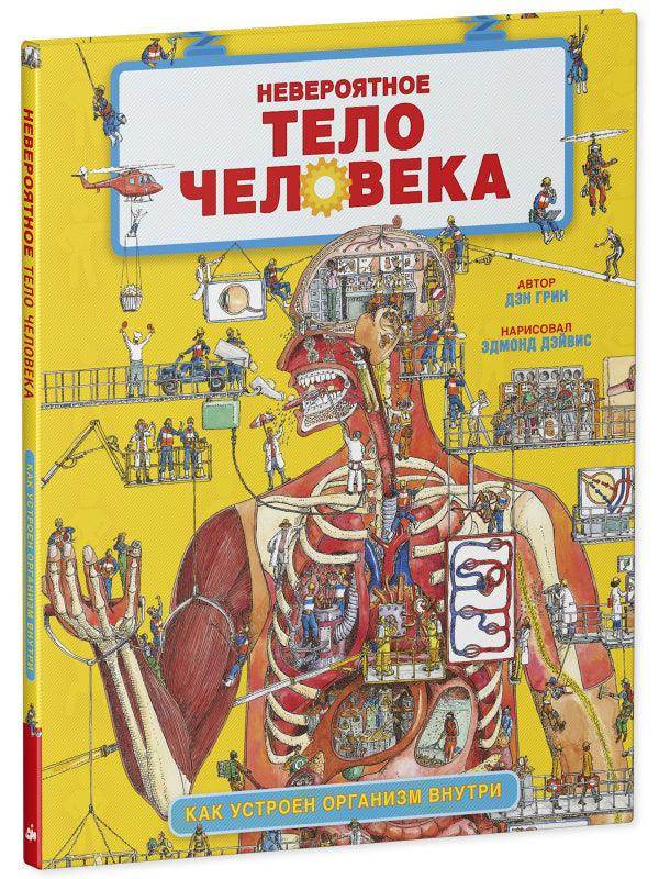 Невероятное тело человека. Как устроен организм внутри - Сlever-publishing